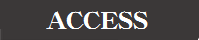 ACCESSアイコン